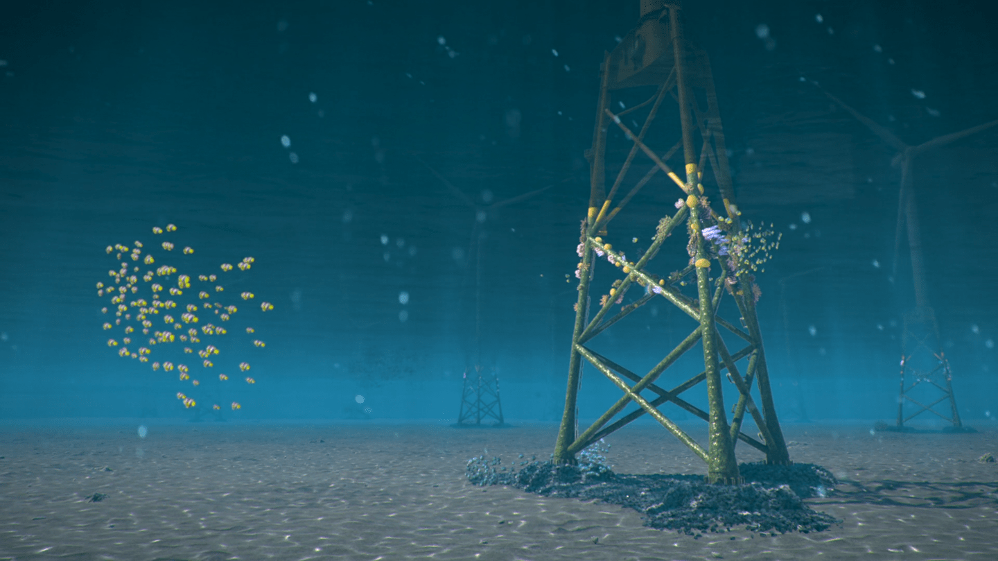Artist’s impression of future coral growth potential. This is not a scientific illustration of the possible scale, species, or size of the corals. Still from the ReCoral explainer video.
