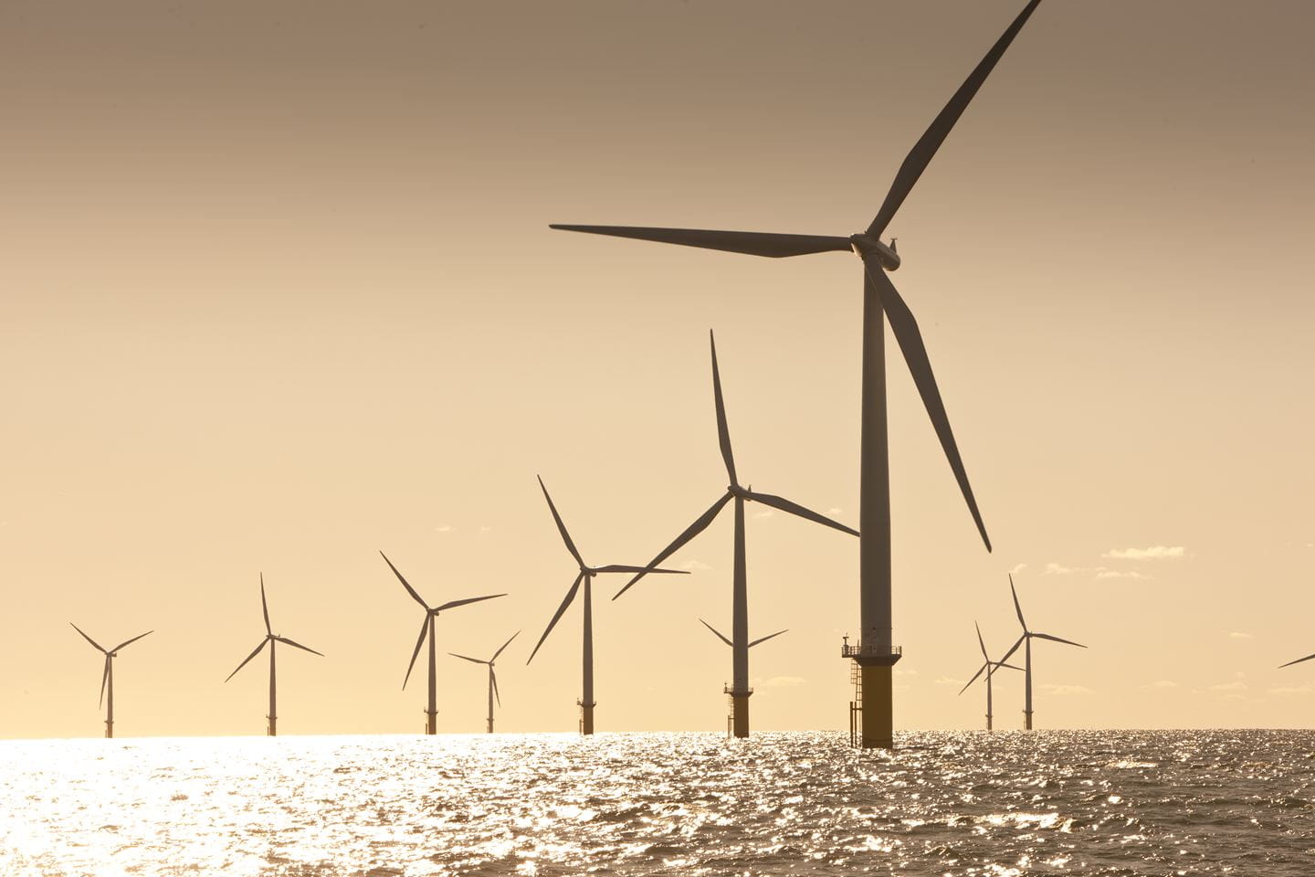 Horns Rev 2 Offshore Wind Farm