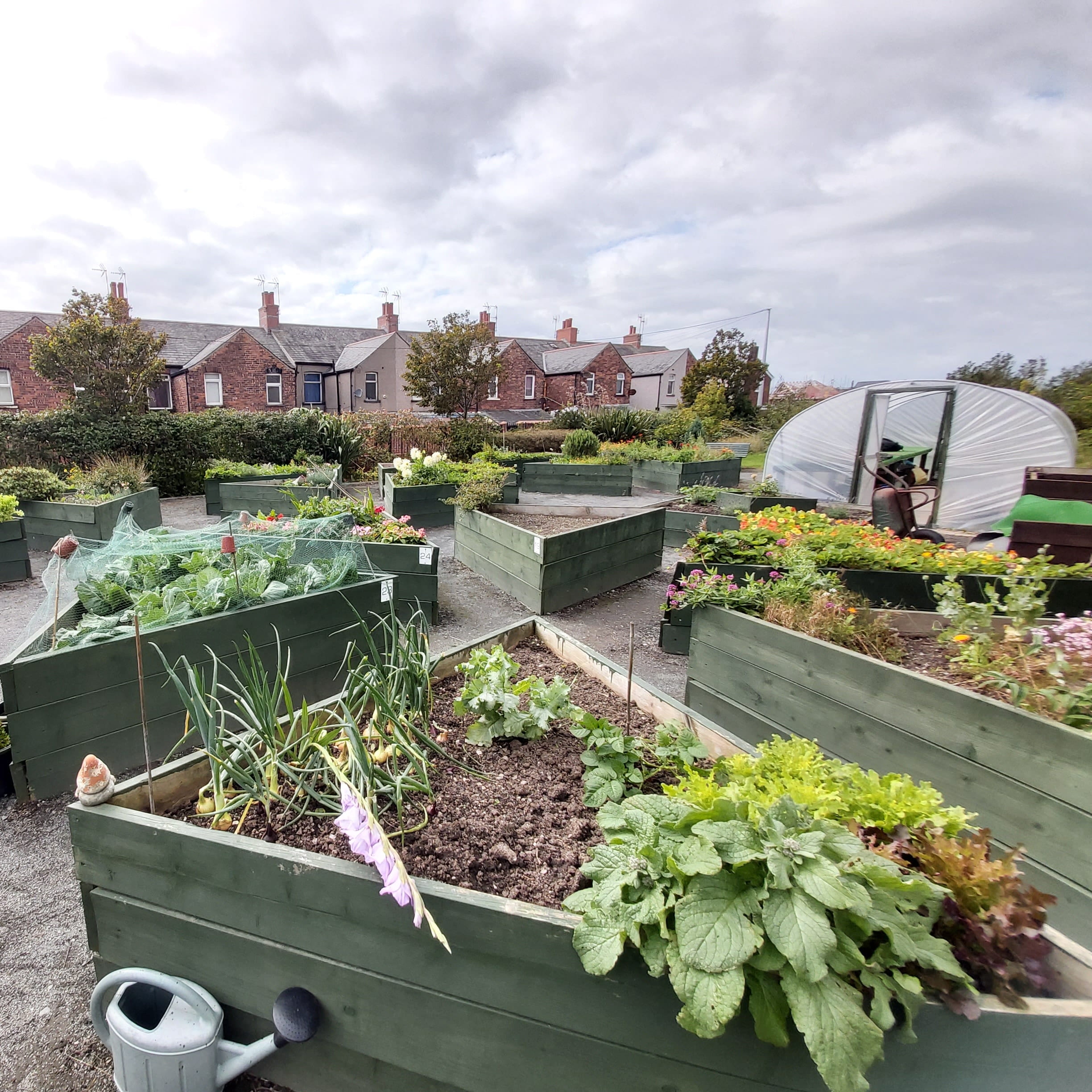 One of the latest projects to receive funding was the Marsh Street Gardens