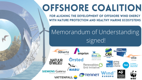 Members of the Offshore Coalition