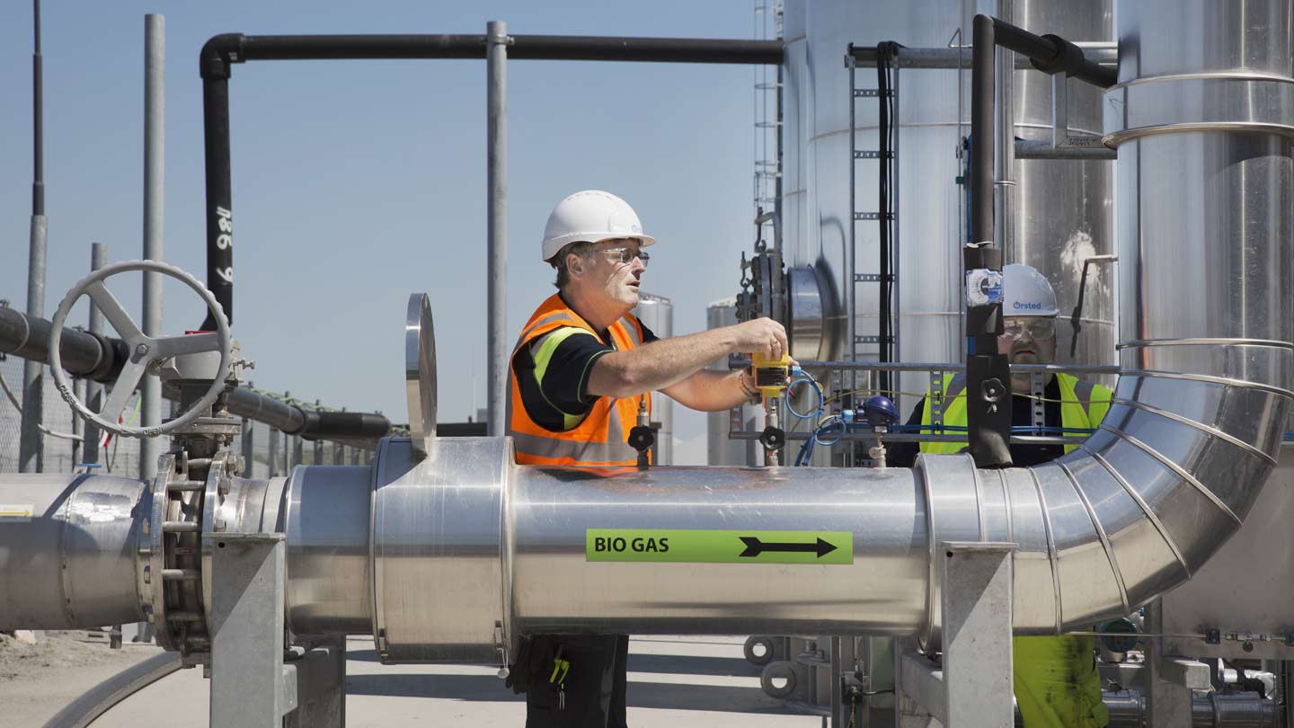 Biogas