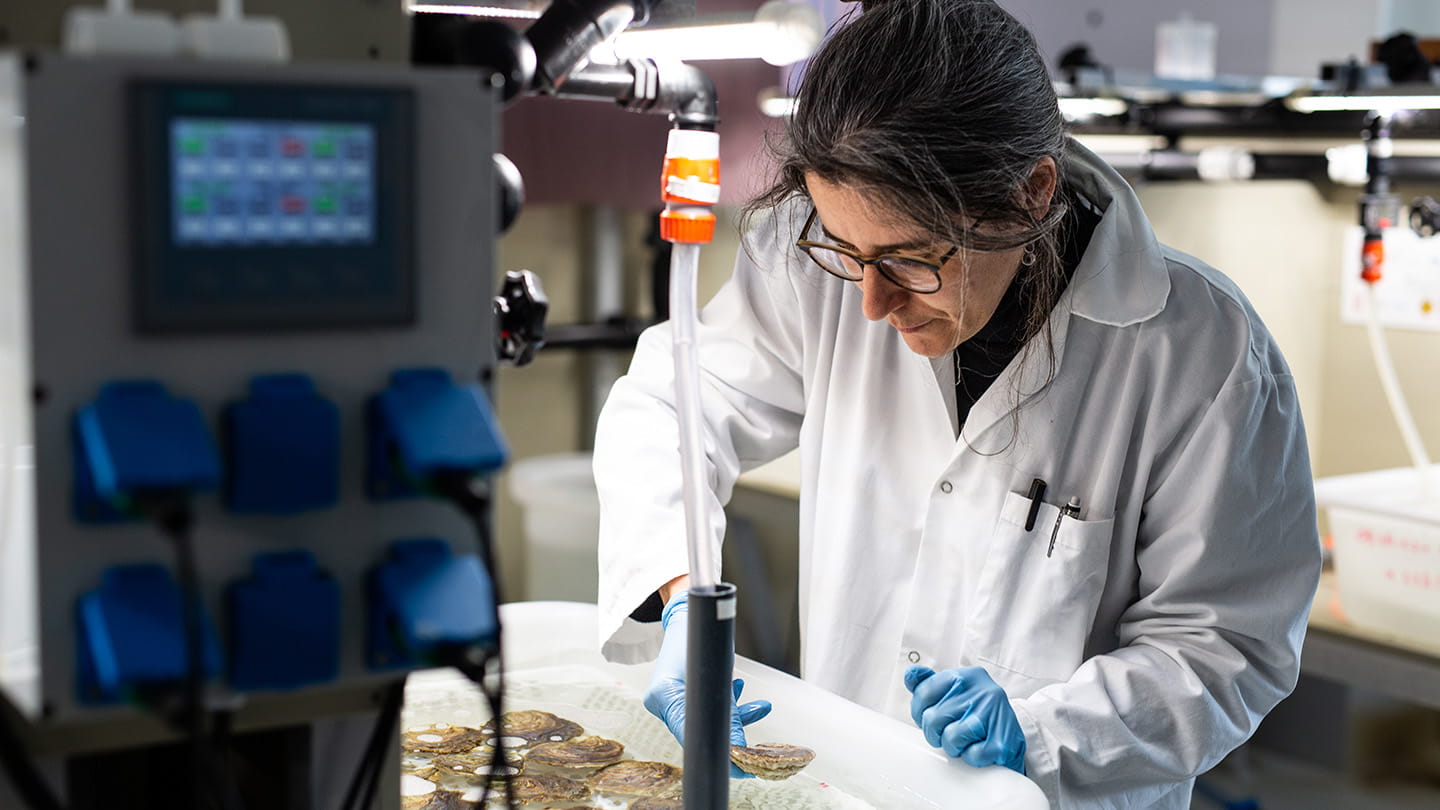 Leading the Transition to Renewable Energy | Ørsted Global