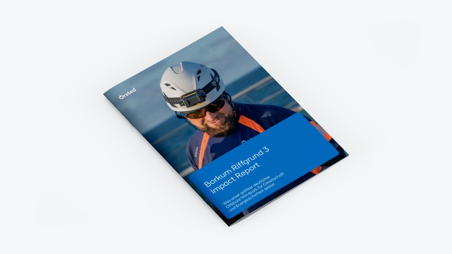 Borkum Riffgrund 3 – Impact Report