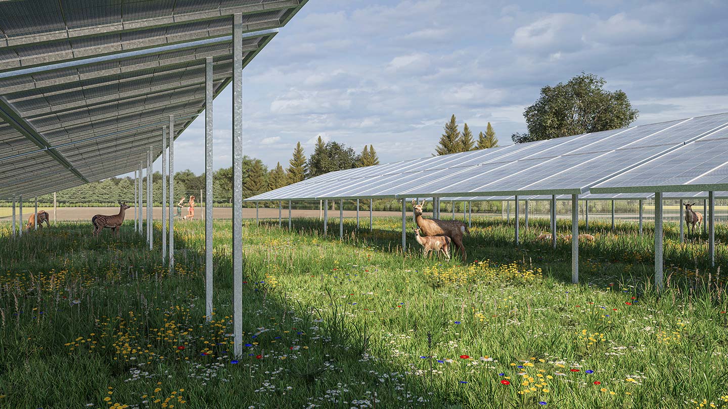 Digitale Visualisierung einer WildparkPV-Anlage von Ørsted, die land-wirtschaftliche Wildtierhaltung mit nachhaltiger Energieerzeugung kombiniert. 