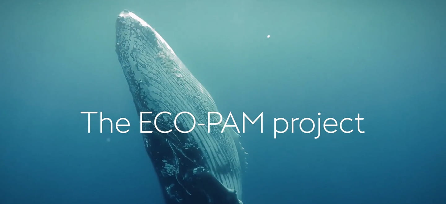 ECO-PAM