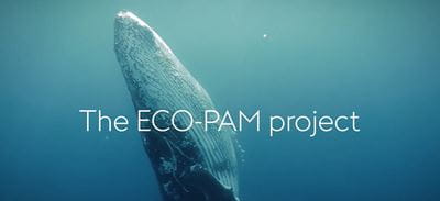 ECO-PAM