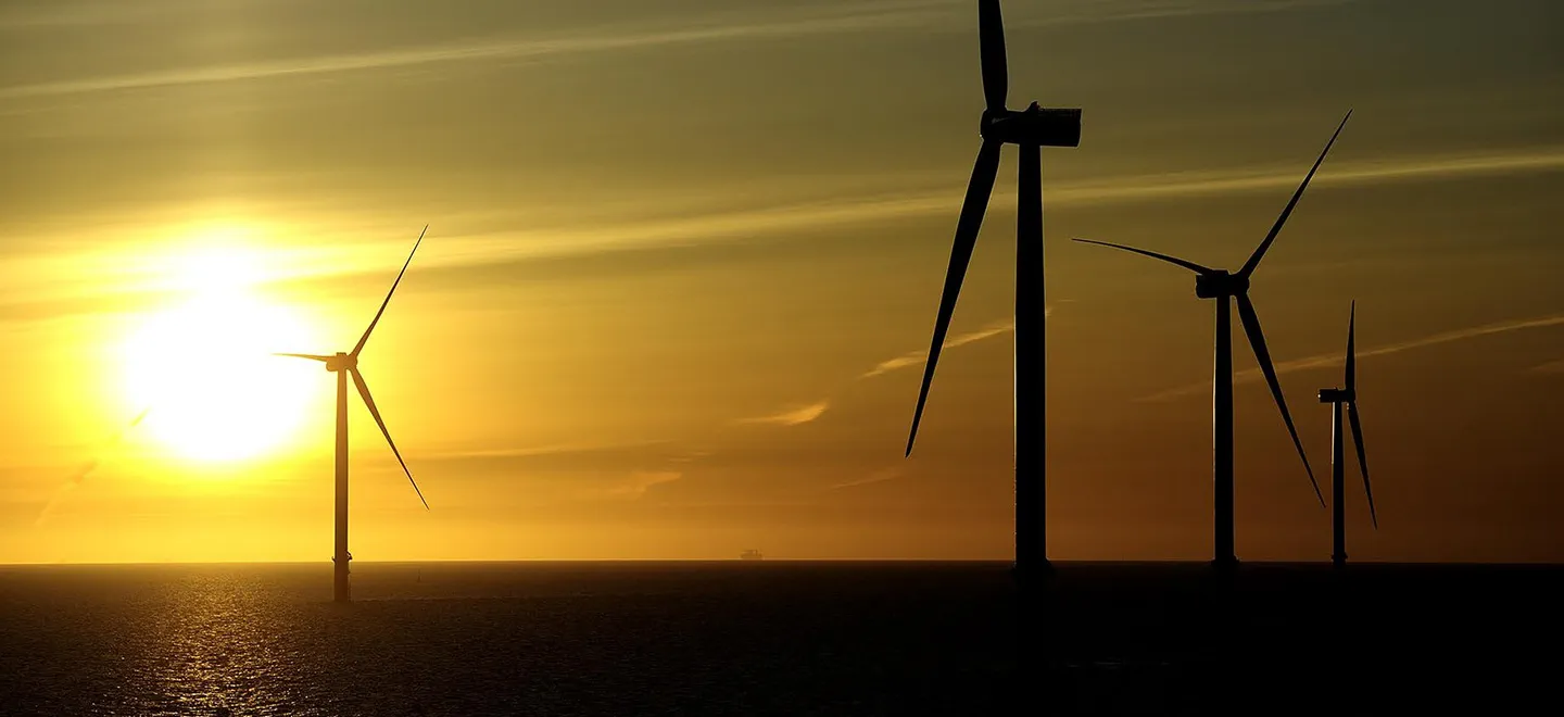 umbo environmental monitoring