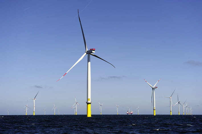 Borkum Riffgrund