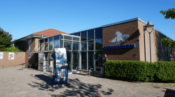Die Seehundstation in Norden-Norddeich