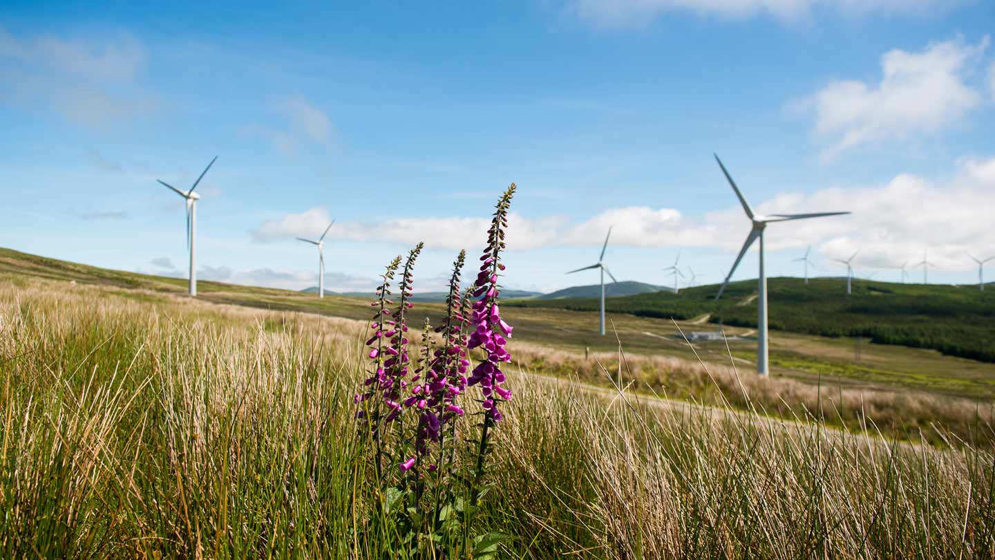 Onshore-Windpark Ørsted