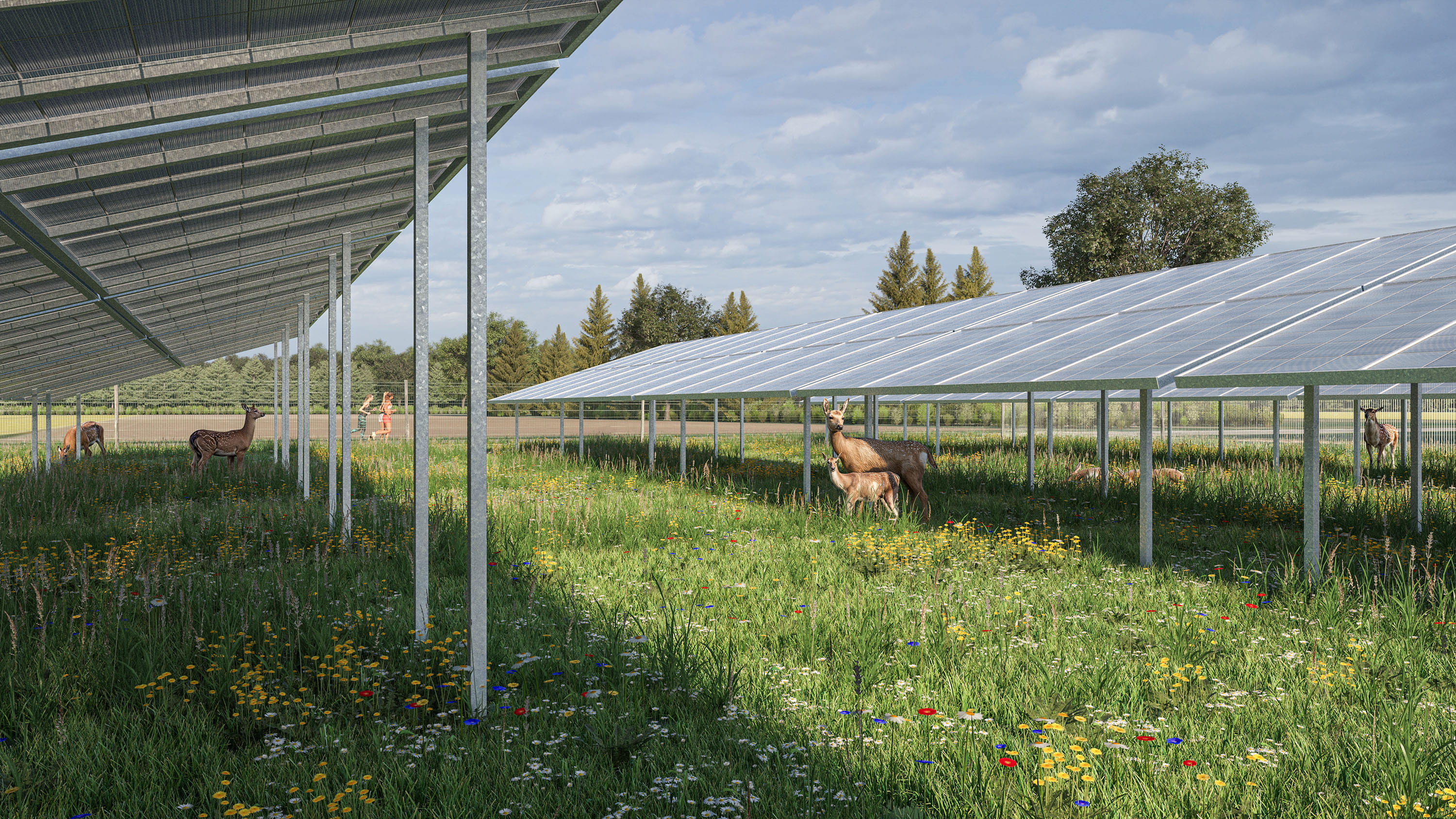 Die Computersimulation zeigt das Damwild des Weiherhofs unter und zwischen den Solarmodulen der Ørsted-WildparkPV-Anlage Sötern. Damit vereint der Solarpark landschwirtschaftliche Wildtierhaltung mit nachhaltiger Energieerzeugung.