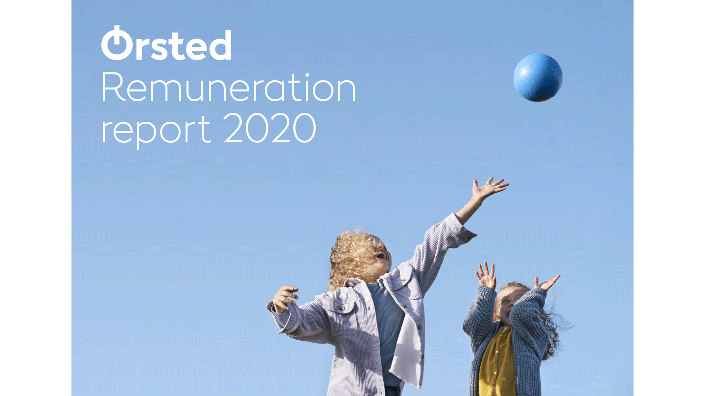 Remuneration report 2020