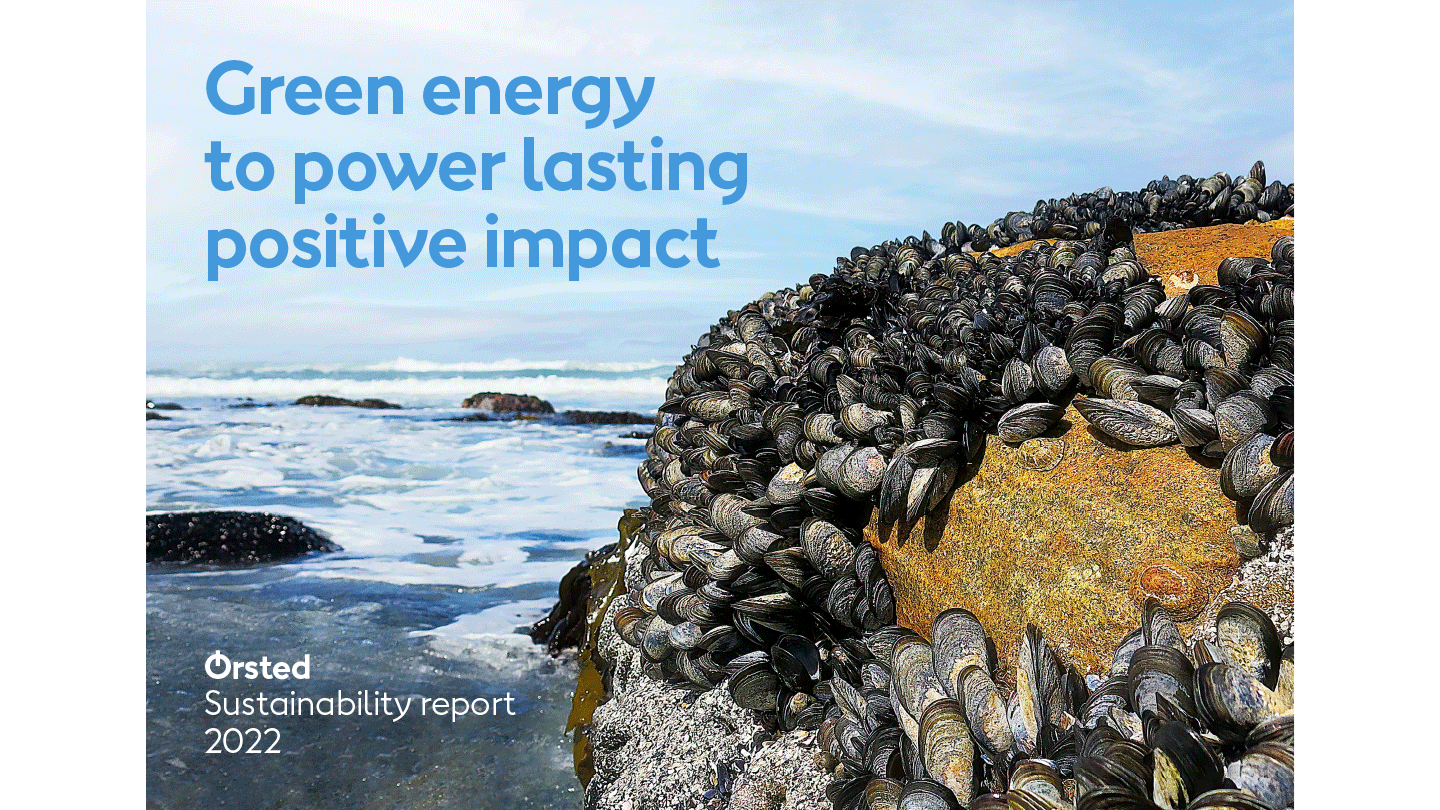 Sustainability report 2022