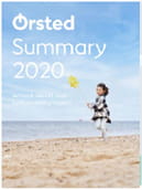 Annual report summary 2020