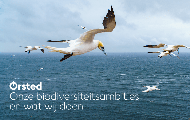 Biodiversiteitsambities