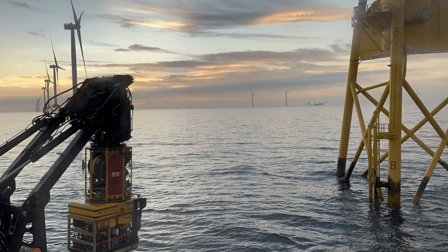 Using Wind Turbines to Support Coral Restoration | Ørsted