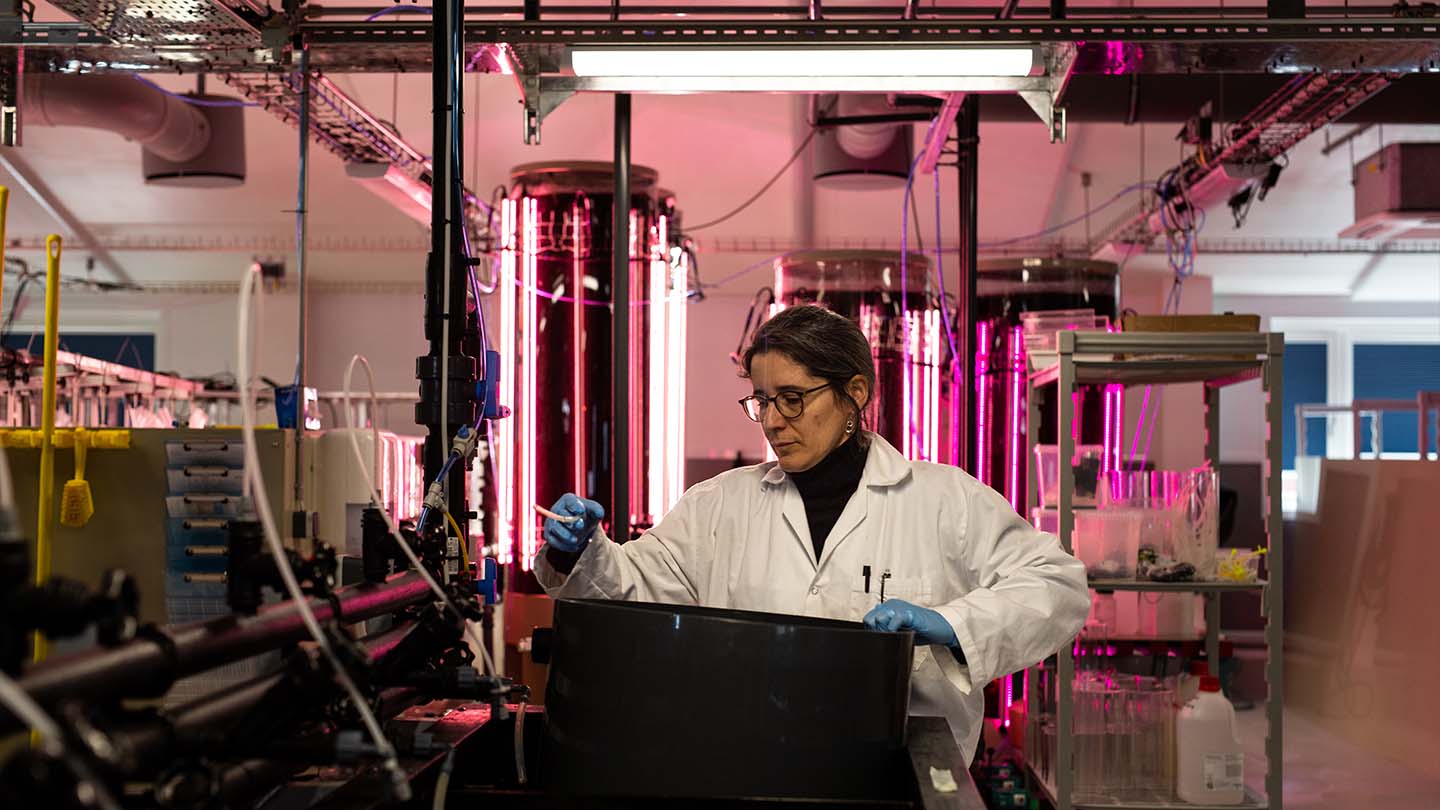 Camille Saurel at hatchery facility of the Danish Shellfish Centre which is part of the Technical University of Denmark, DTU.