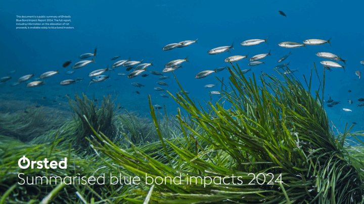 Blue bond impacts report cover