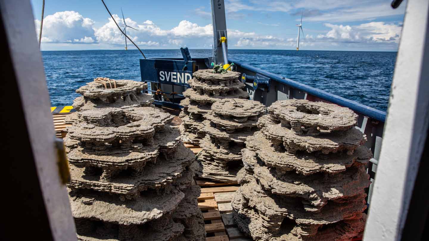 3D printed reefs