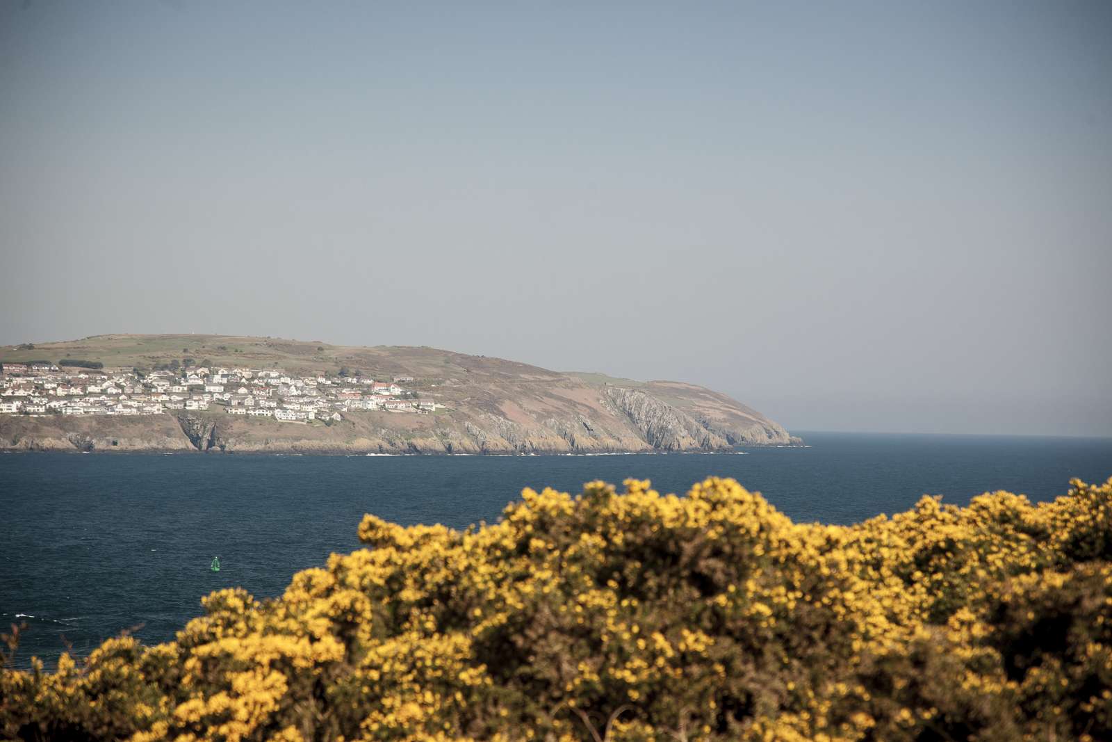 Isle of Man biodiversity - image showing coastline view