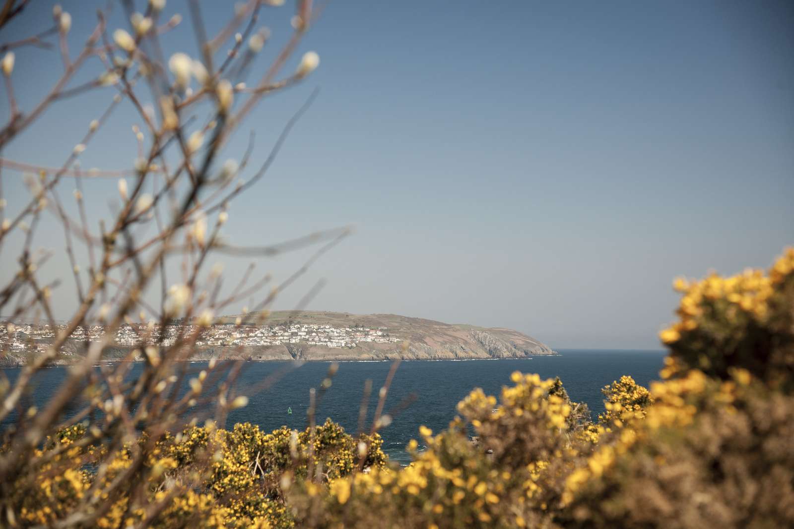 Isle of Man biodiversity - image showing coastline view