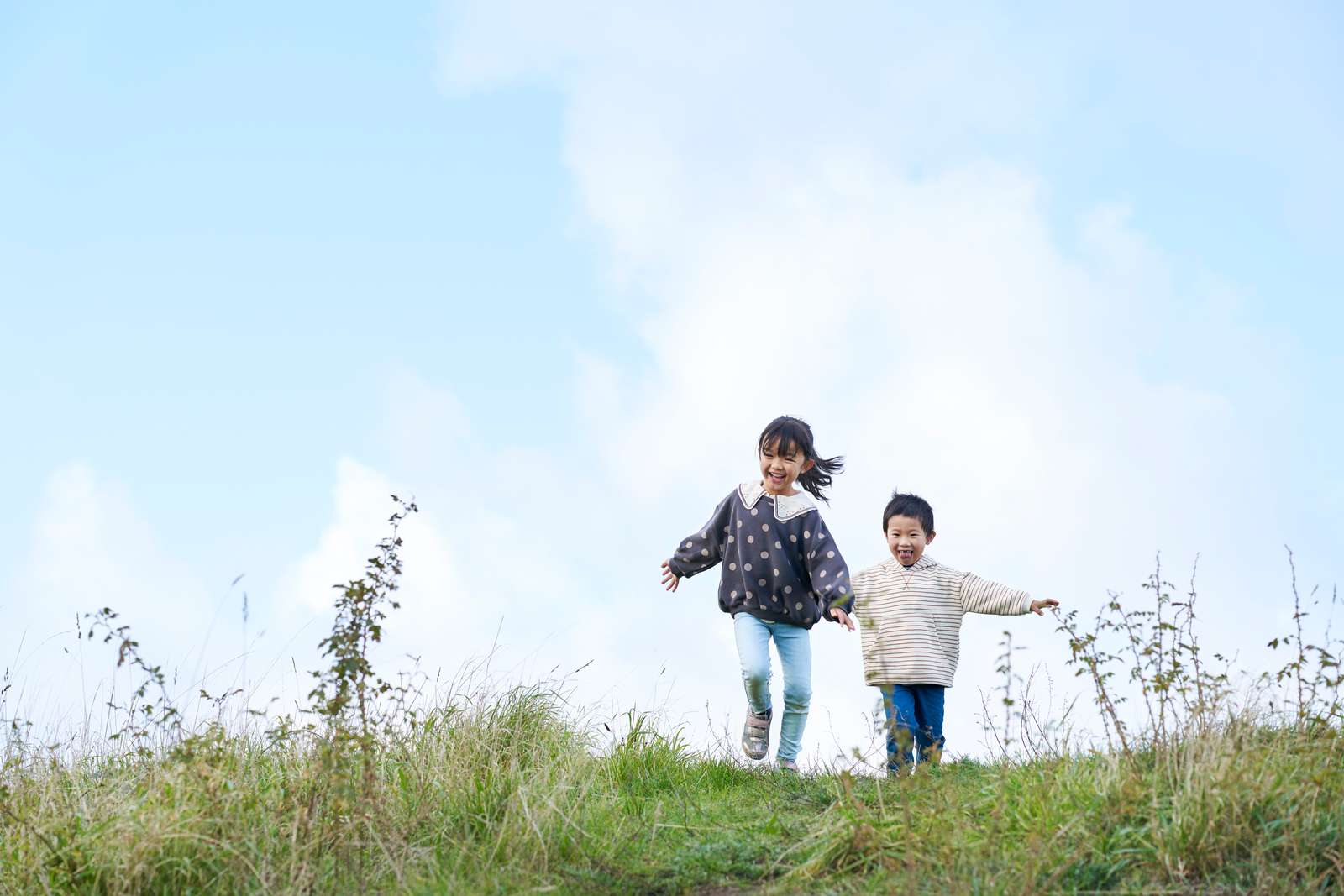 Community Benefit Fund Consultation