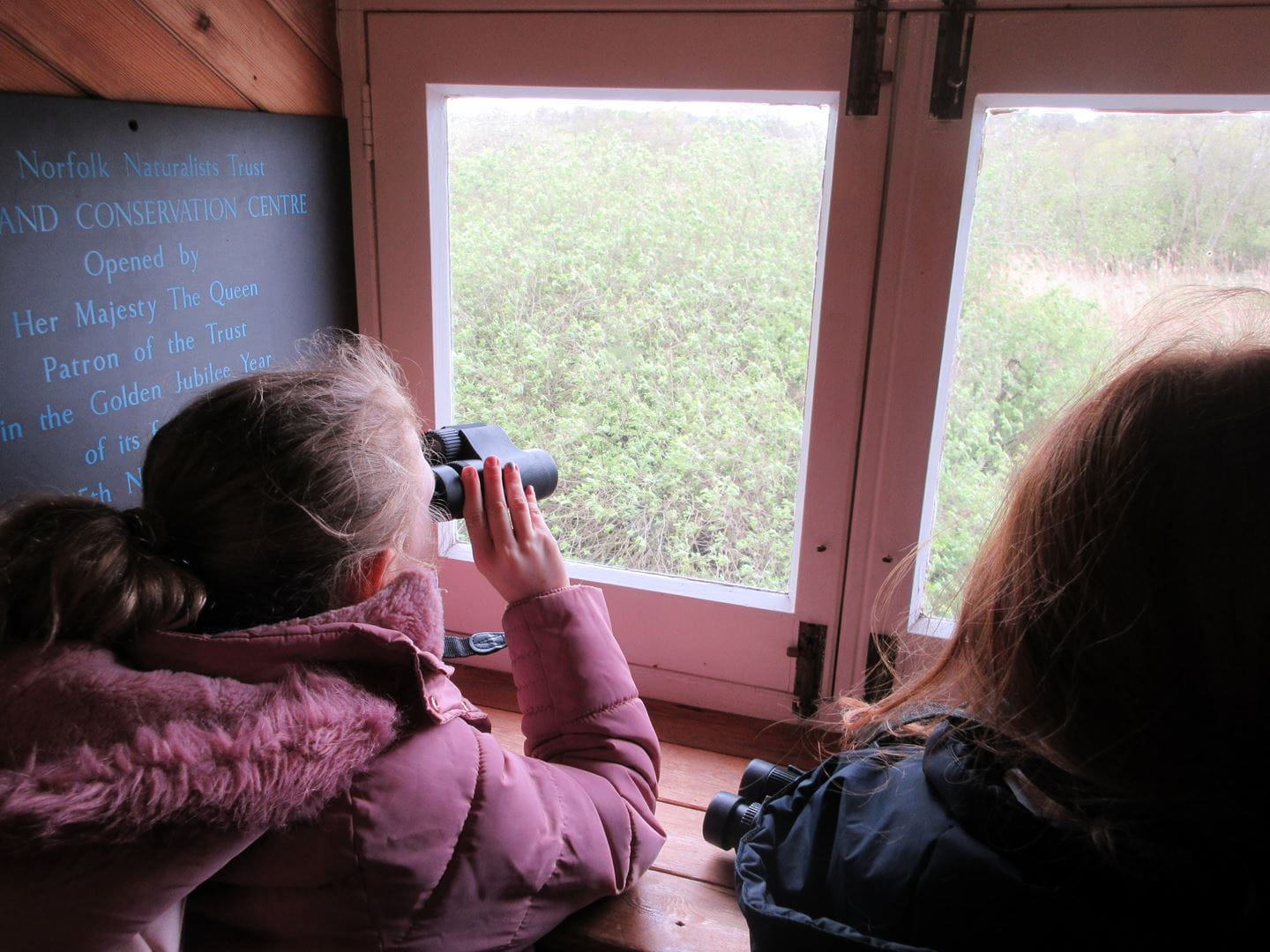 Primary students enjoying a Wilder Schools workshop run by Norfolk Wildlife Trust