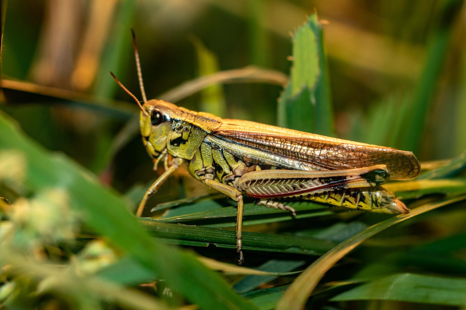 img-20210715-wa0009---sue-