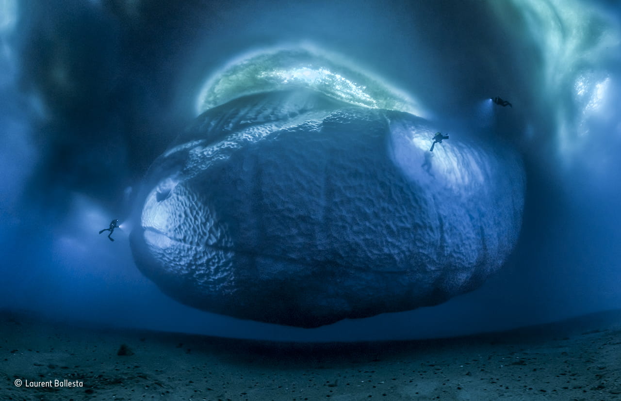 The ice monster. Winner of the Earth's Environments category, Wildlife Photography of the Year