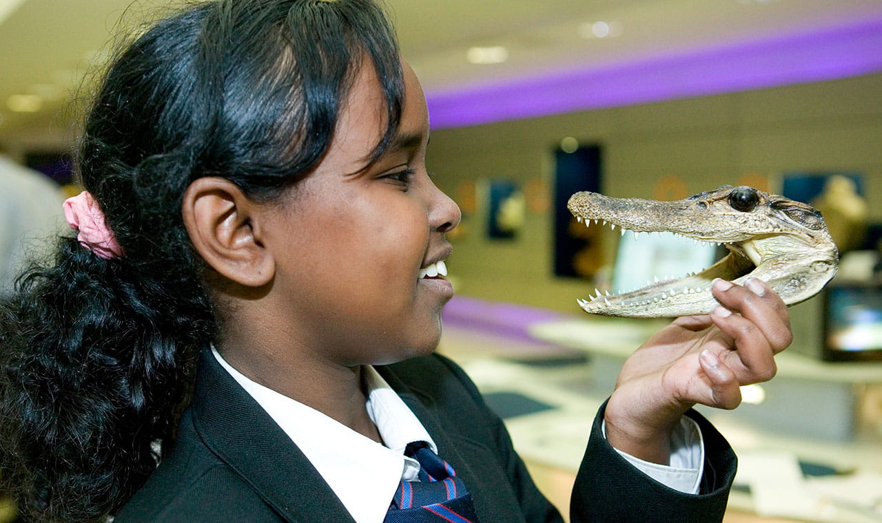 © The Trustees of the Natural History Museum, London