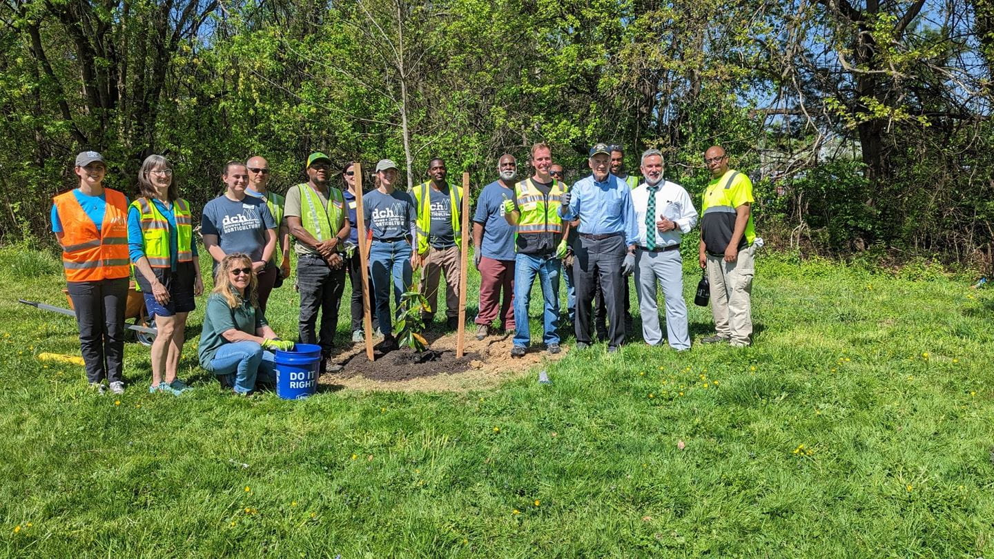 Ørsted volunteers and the Delaware Center for Horticulture joined U.S. Senator Tom Carper to honor Earth Day by planting 20 trees at Collins Park in New Castle, DE