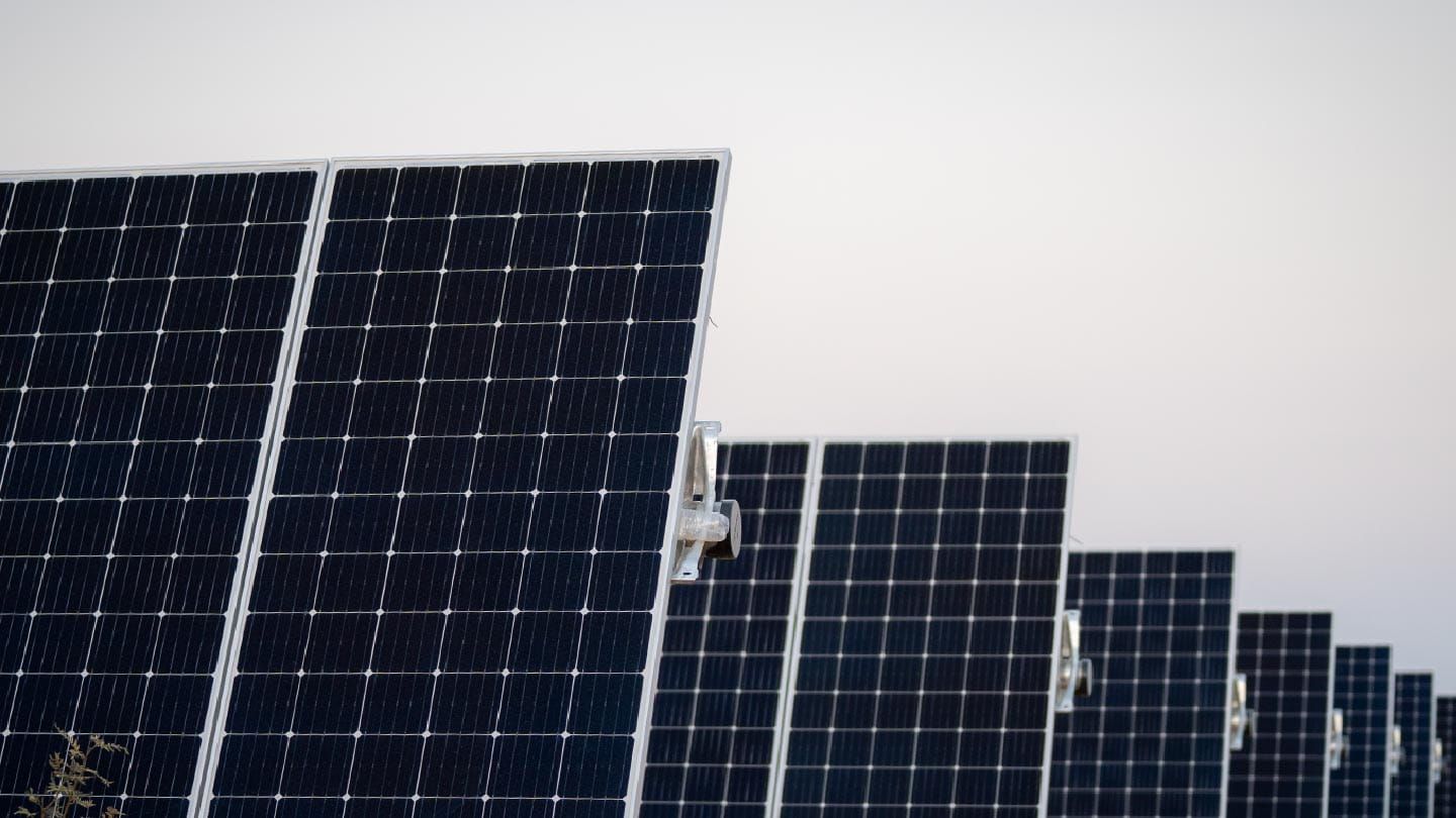 A row of solar panels shows Ørsted’s goal of supporting people, nature, and industry as a sustainable energy company 
