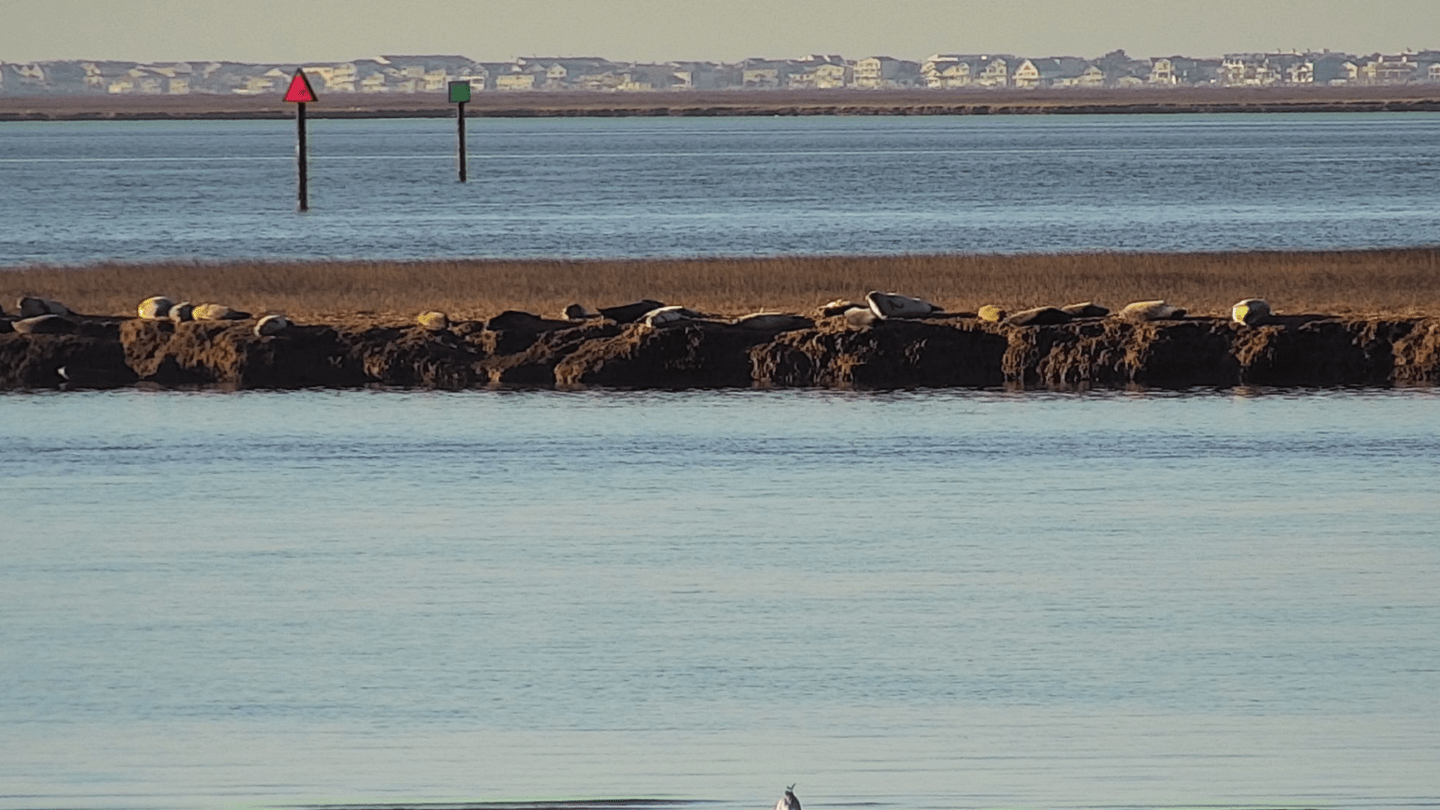 Photo courtesy of Stockton University