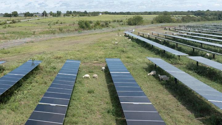 A row of black solar panels from one of Ørsted's solar and storage projects, delivering reliable energy to the U.S. grid.