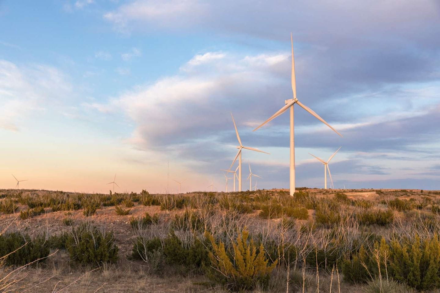 Photo: Amazon Wind, one of Ørsted's wind farms in Texas.